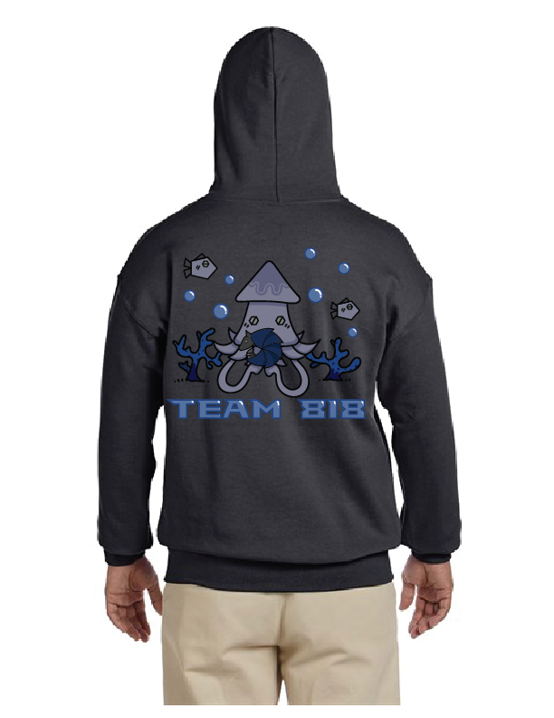 818 Reefscape Hoodie