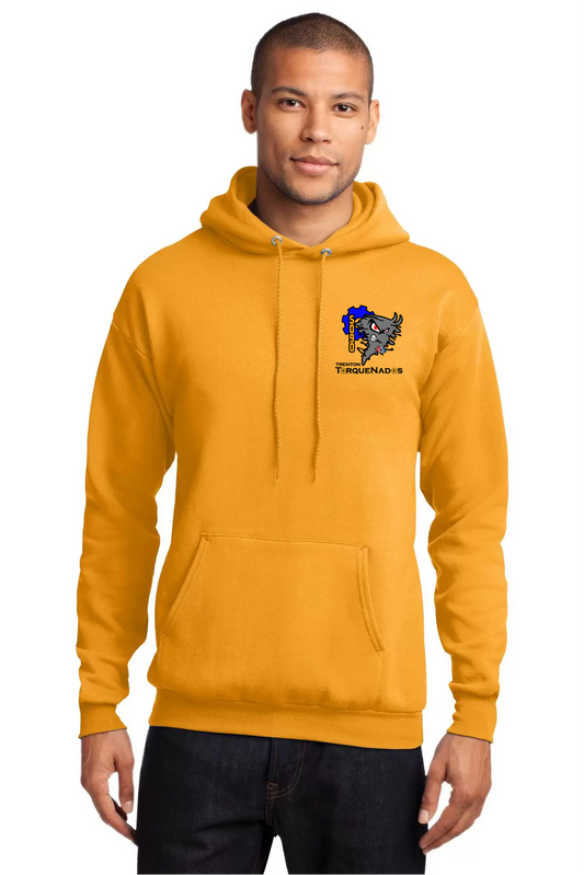 Trenton Robotics FRC Faded Crewneck Sweatshirt