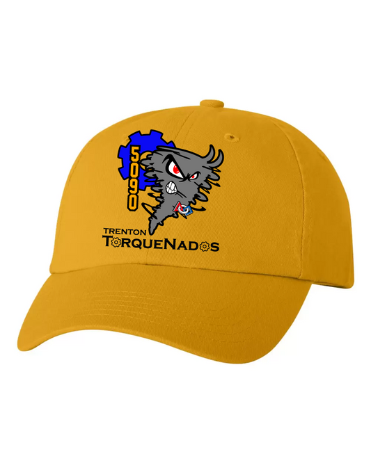 Trenton Robotics FRC Classic Hat